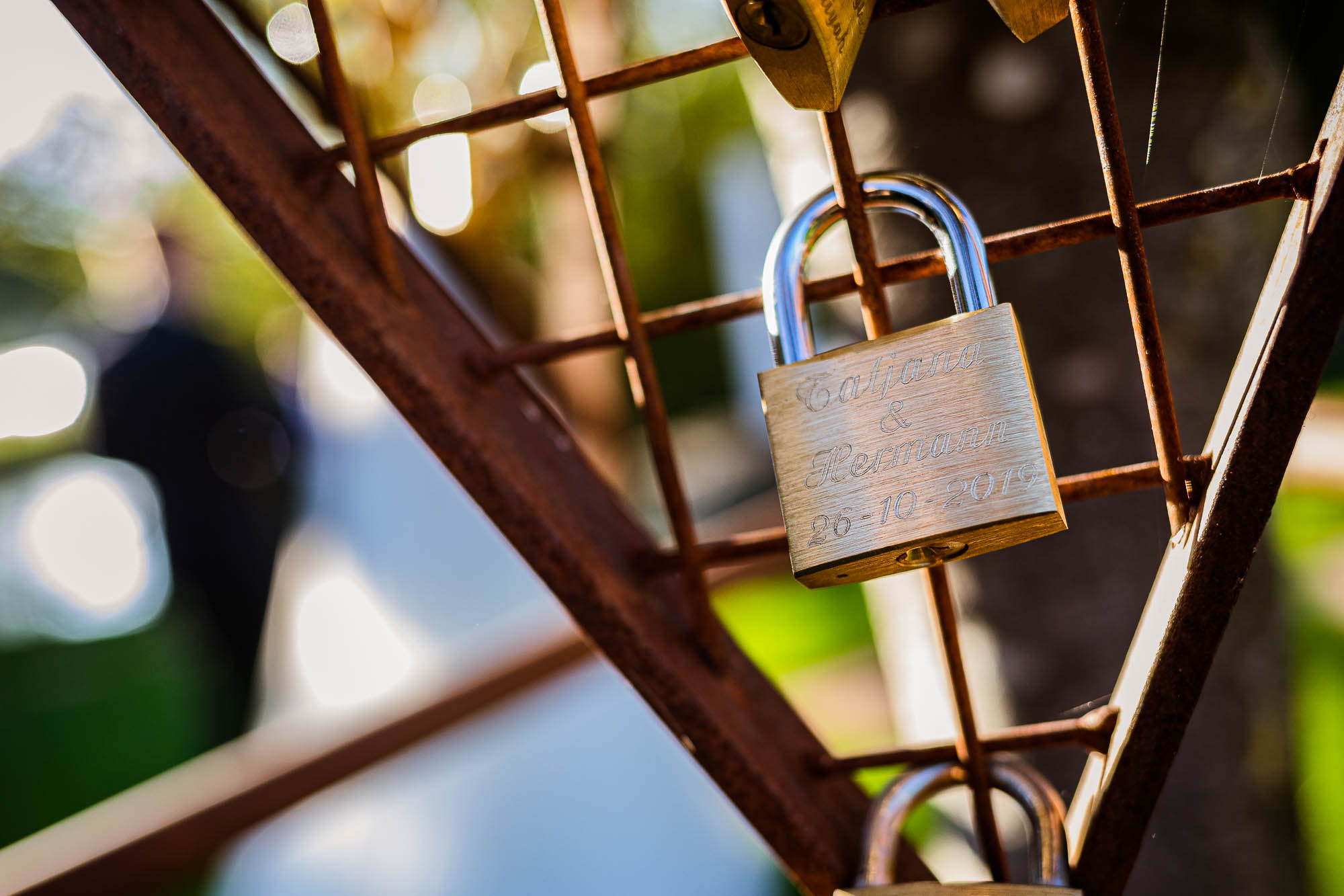 Export x3 5D4 9815 Hochzeit 2019 Tatjana und Hermann